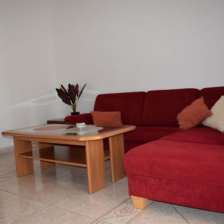 Pet Friendly Apartment Murvi 50 Novigrad  Zewnętrze zdjęcie