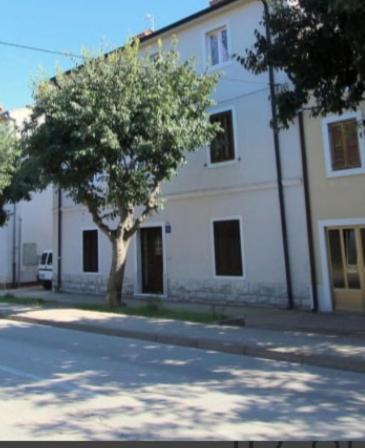 Pet Friendly Apartment Murvi 50 Novigrad  Zewnętrze zdjęcie
